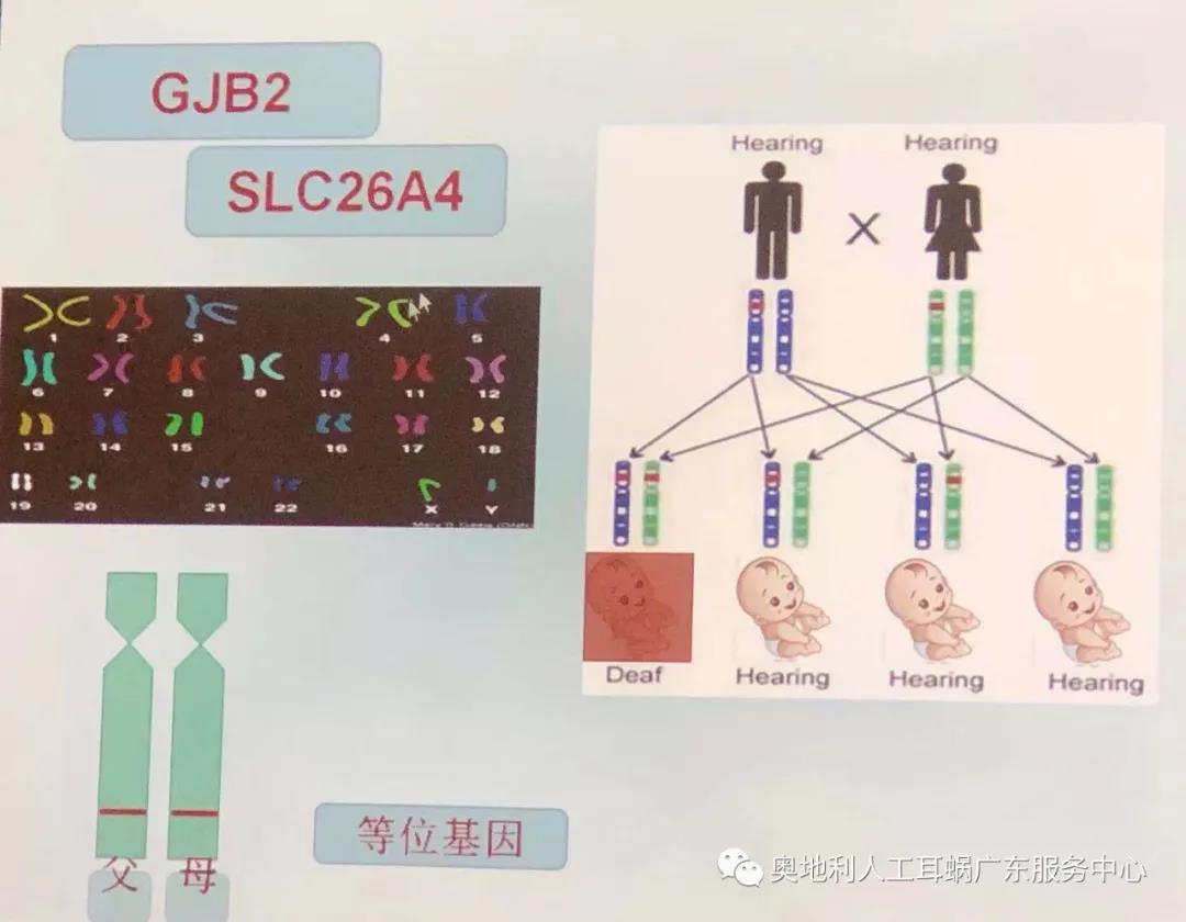 寰俊鍥剧墖_20190109154307.jpg