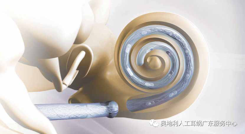 寰俊鍥剧墖_20190501102559.jpg