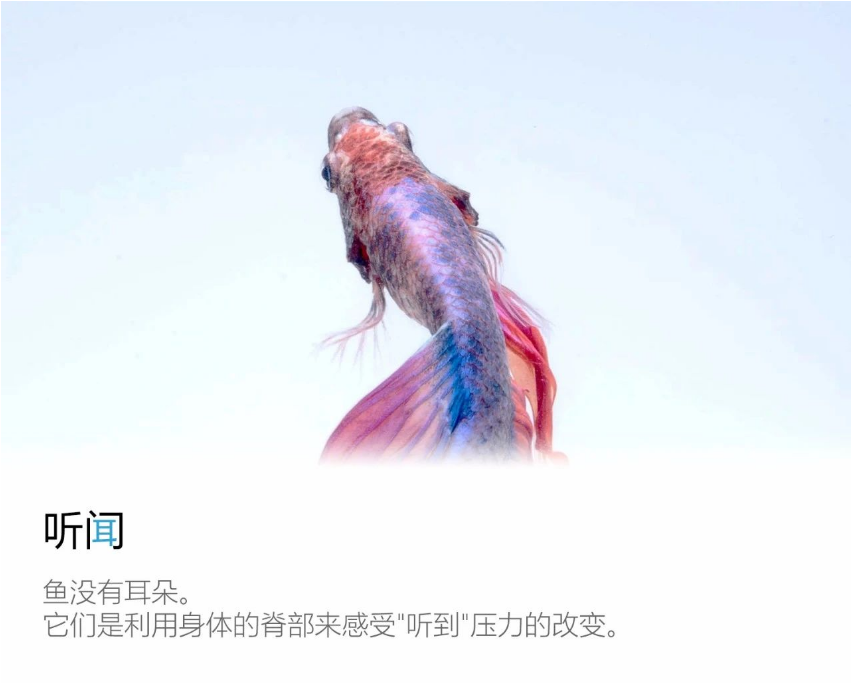 寰俊鍥剧墖_20200619062532.png