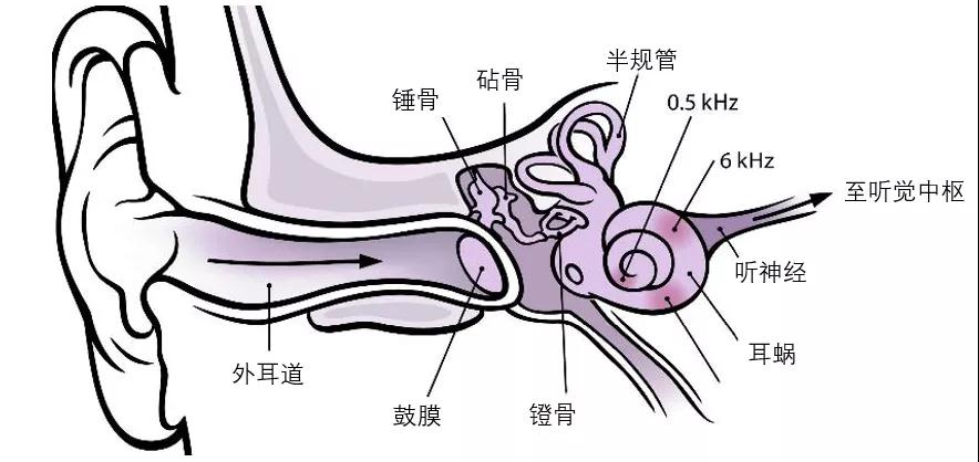 寰俊鍥剧墖_20201106203146.jpg