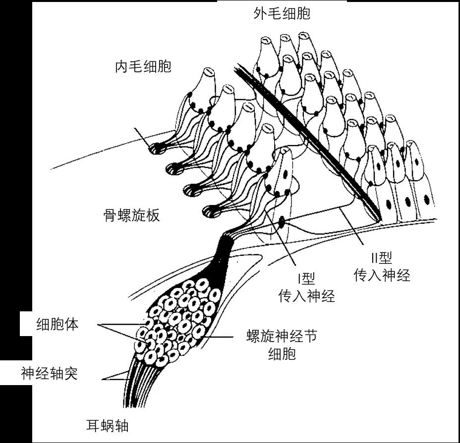 寰俊鍥剧墖_20201106203159.jpg
