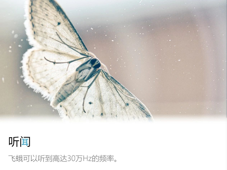 寰俊鍥剧墖_20210126151737.png