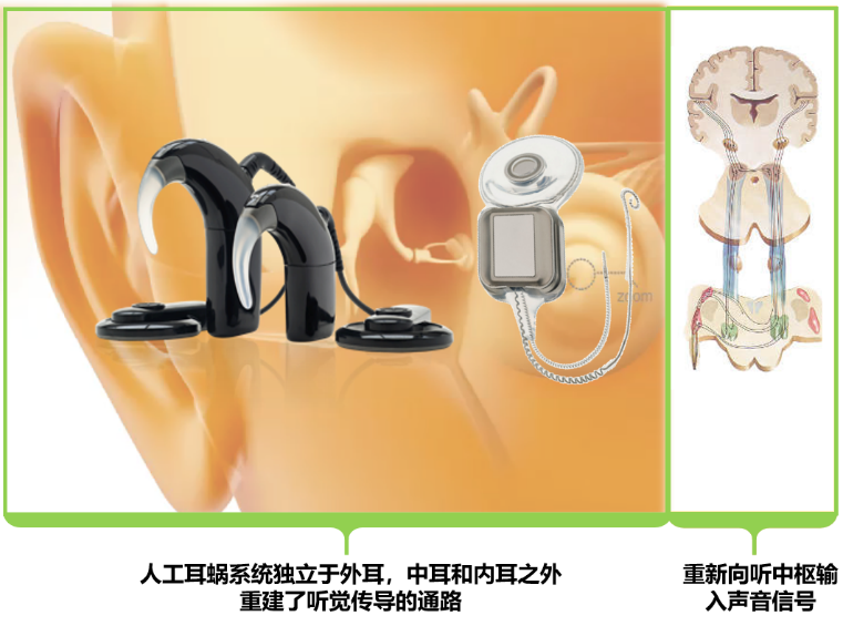 寰俊鍥剧墖_20210309124022.png