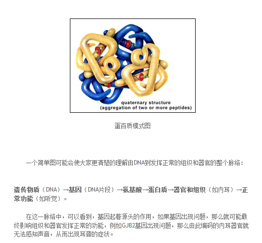 白话遗传学术语 之一基因是什么