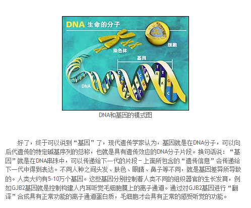 白话遗传学术语 之一基因是什么