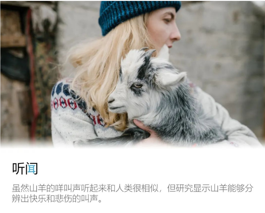微信图片_20211213203150.png