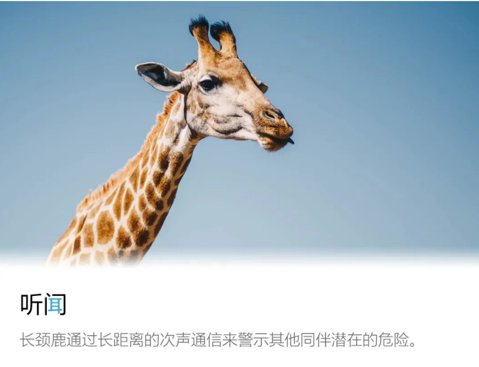 微信图片_20220119071519.png