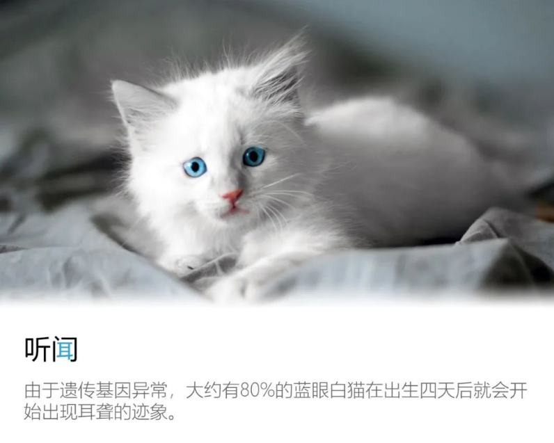 微信图片_20220321105031.png