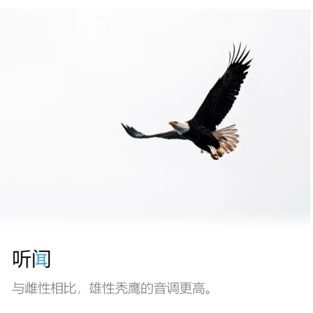 微信图片_20220329142238.png