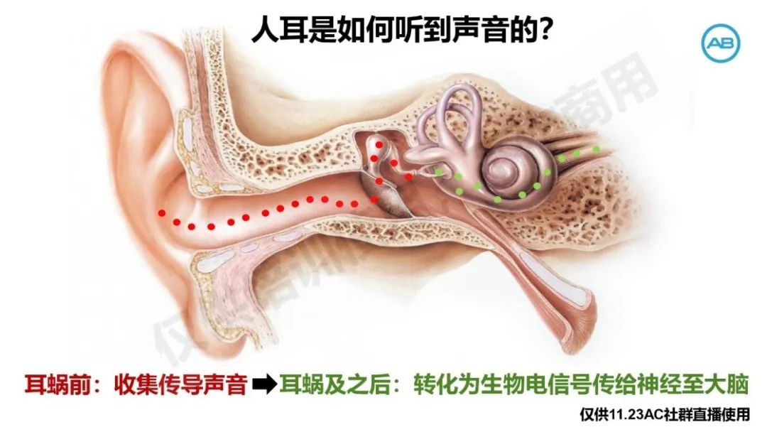 微信图片_20230422160149.jpg
